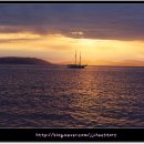 화이트 헤븐 이미지