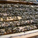 호운농장 이미지