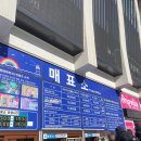 속초해변(남문) | [속초아이 대관람차] 후기! 가격 주차 할인 정보 속초 여행 내돈내산 후기