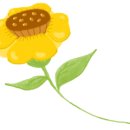 힐링원예 가드닝 이미지