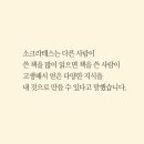 현대서점 이미지
