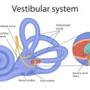 운동과학연구센터 이미지