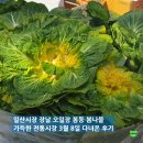 곰고개식당 | 일산시장 장날 오일장 봄동 봄나물 가득한 전통시장 3월8일 다녀온 후기