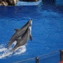 씨~월드 이미지