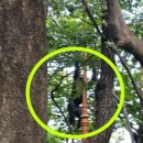 달성공원 동물병원 이미지