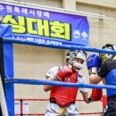 새빛체육관 이미지