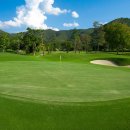 TOP 골프랜드 이미지