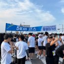 2024-주212 | 2025.10.19 평택항마라톤 후기(5km)