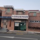 노안면 공중목욕장 이미지