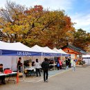 야로우체국 | 삼척시 가을 문화행사 2024삼척 문화유산 야행 | 축제 후기