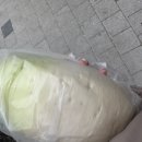 새신가치과의원 이미지