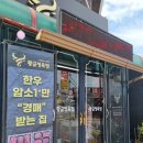 황금정육점 이미지