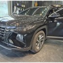 비비웍스 이미지