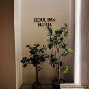 쉼터성인PC | 역삼 비즈니스 숙소 공간활용이 잘되있는 역삼역 호캉스 호텔 서울인호텔바이더디자이너스 1박 후기