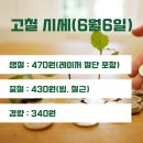 성진스틸 네이버블로그