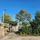 천일세탁 이미지