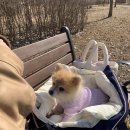 연희자연마당 공원 이미지