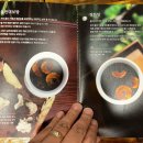 경기도 수원시 팔달구 효원로307번길 97 (인계동, 한화 꿈에그린 효원 101동) | [수원/인계동] 맛있는 효원에꽃이피네 문희오미자오감차, 약식혜