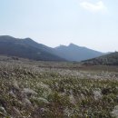 영남목장 이미지