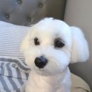 개리비안베이 이미지