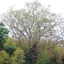 덕림서원 이미지