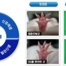 허리디스크 치료 :: 허리디스크 좋은 강척탕 이미지