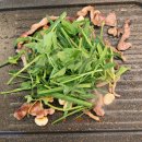 오리한국별관수완점 이미지