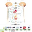 17~20cm사칭마라 중추신경과 근이완 울산 경산 창원 대구 부산 양산 김해 스토커들 ti들 얼마나 비응신들이냐 이미지