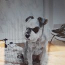 우신세탁소 이미지