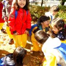 등밭유치원 이미지