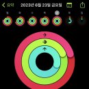 머슬팩토리24익스트림