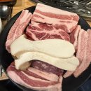 시집못간 돼지 이미지