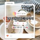 유밀정 | 동탄 호수공원 딸기 쌀 케이크 맛집 동탄 유밀정 케이커리 내돈내산 솔직후기