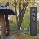 [2026년3월22일 일요산행 ]-팔공산(용바위릿지-서봉-톱날능선) 이미지