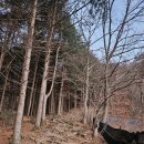 소백로1 | 겨울산행 추천 소백산 비로봉 최단코스 겨울왕국 상고대 폭탄 산행 후기 소백산 겨울 등산코스 추천