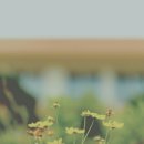 옥곡중학교 이미지