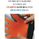 코스티(COSTI) | 고양이 빗 추천! 장갑 빗☆