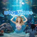 아시아푸드숍 | 여수 아쿠아플라넷 방문후기 | 가족여행·아이와 가볼만한 실내여행지 추천