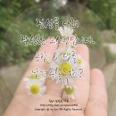 아모르페루아노 | 2박3일 전북여행 ; Day 2 전주 (남부시장야시장, 청년몰의 낮과 밤, 풍남문)
