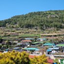 청산도 안단테 이미지