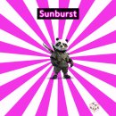 2023.04.18. Sunburst Effect (방사형으로 퍼진 햇살) 이미지