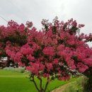 만연농장 이미지