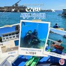 그랑들 | 세부 다이빙 패키지 뉴그랑블루 후기