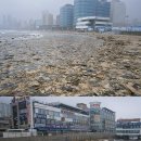 관광시설관리사업소 앞 이미지