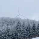 유천목장 이미지