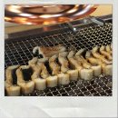 황당애장어