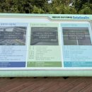 삼호 태양광발전소 이미지