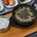 서파장어랜드 이미지