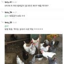 빵실빵실 이미지