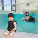 연령이 다양해도 방문 가능 한 버블리풀 👶🧒🧑